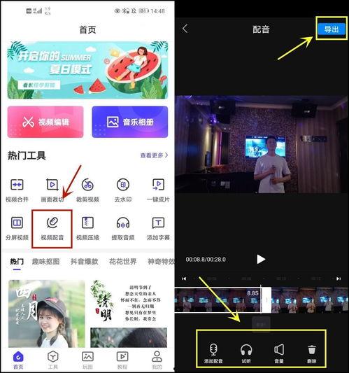 娱乐吃瓜视频的配音软件,揭秘热门娱乐吃瓜视频背后的配音神器